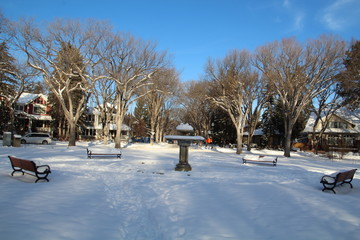 December At Alexander Circle, Edmonton, Alberta