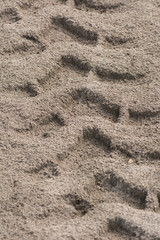 tire tread mark in the sand