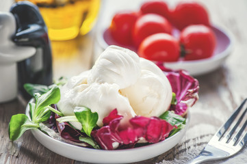 Burato cheese and lettuce for weight correction of Lollo Rosso lettuce leaves, watercress salad and other green herbs. The concept of healthy eating.