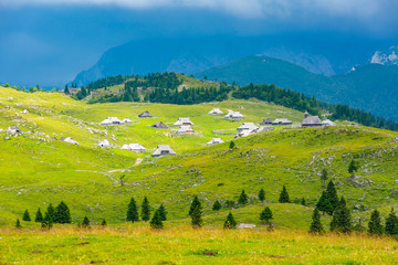 Fototapeta na wymiar Slovenia velika planina (big plateau), agriculture pasture land near city Kamnik in Slovenian Alps. Wooden houses on green land used by herdsmen. Mountain village with big pasture plateau.