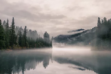 Fototapete Wald im Nebel stimmungsvoller Herbsttag