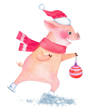 Watercolor Funny Piglet