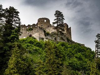 Burg Ehrenberg