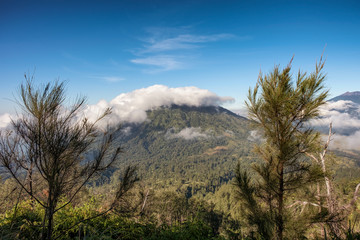 Cloud on mountain with blue sky between on tree