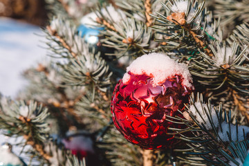 Colorful toys on the christmas tree and snowflakes on the branches and holidays decorations. Red balls with ornaments of stars and glows. Outdoor christmas trees, decorations in garden