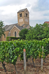 I vigneti  del villaggio di Igè e la Chapelle Domange - Borgogna - Francia