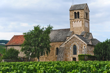 I vigneti  del villaggio di Igè e la Chapelle Domange - Borgogna - Francia