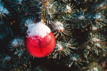 Colorful toys on the christmas tree and snowflakes on the branches and holidays decorations. Red balls with ornaments of stars and glows. Outdoor christmas trees, decorations in garden