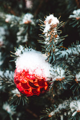 Colorful toys on the christmas tree and snowflakes on the branches and holidays decorations. Red balls with ornaments of stars and glows. Outdoor christmas trees, decorations in garden