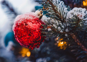 Colorful toys on the christmas tree and snowflakes on the branches and holidays decorations. Red and blue balls with ornaments of stars and glows. Outdoor christmas trees, decorations in garden
