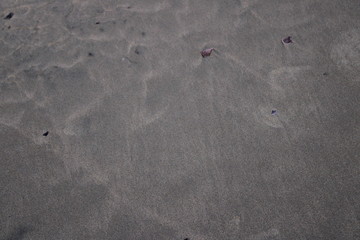 footprints in the sand
