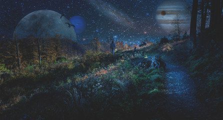 View from Mysterious World © Drazen