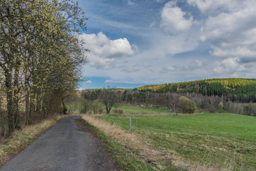 Fototapeta na wymiar Asphalt road near meadows and pasture land in spring day