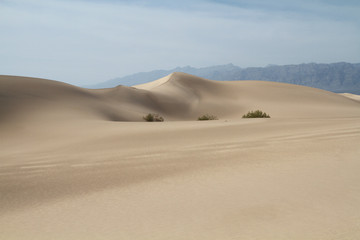 Fototapeta na wymiar Sand dunes at Death Valley National Park, CA, USA