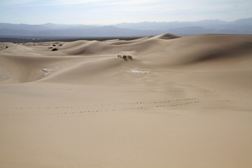 Fototapeta na wymiar Vastness of dunes at Death Valley National Park, CA, USA