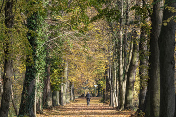 Naklejka premium Blätter, Herbst, Radfahrer,