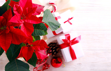 Christmas flower - poinsettia and gifts