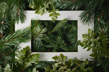 White frame in pine and oak branches