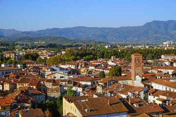 Landscape view of the rooftops in Lucca, a historic city in Tuscany, Central Italy, seen from the top of the landmark Torre Guinigi tower