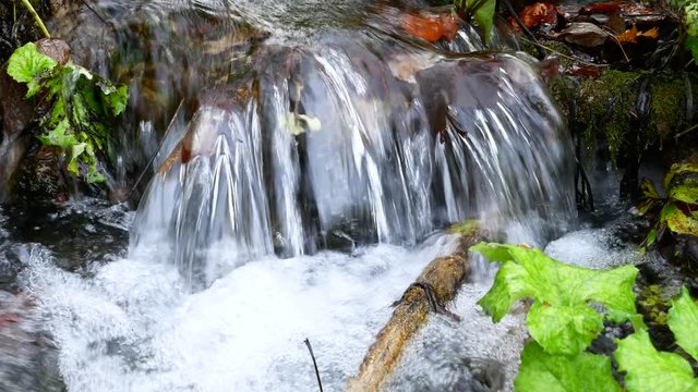 Water Cascades in a Beautiful Lush Autumn Forest in Plitvice Lakes