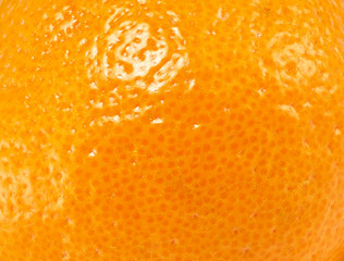 citrus, orange, tangerine, lemon, lime or grapefruit peel, background