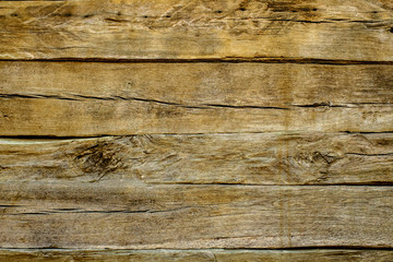 oak wood texture background