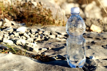 Una botella de agua mineral,con vaso sobre una roca
