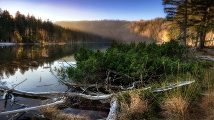 Sumava National park