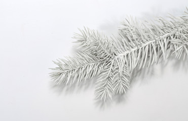 Winter background with snowy pine branches
