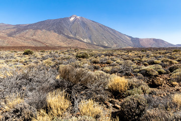 Nationalpark El Teide in Teneriffa,