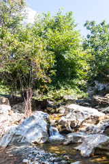 Naklejka na ściany i meble Fast mountain raging river with waterfalls flowing among the rocky green thickets on the Greek island of Thassos