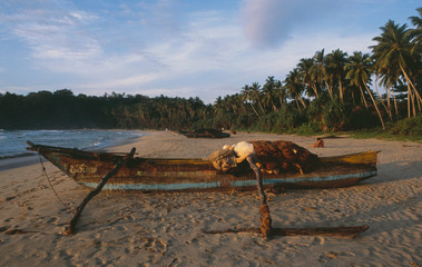 Sri Lanka; fisher boat at a empty beach in the south of Sri Lanka