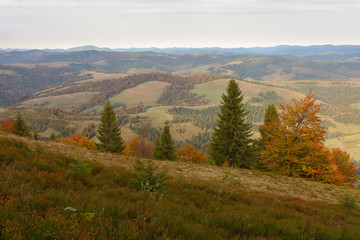 Autumn day in the mountains