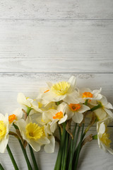 White and yellow spring narcissus above