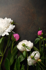 Fresh summer peony background with copy space