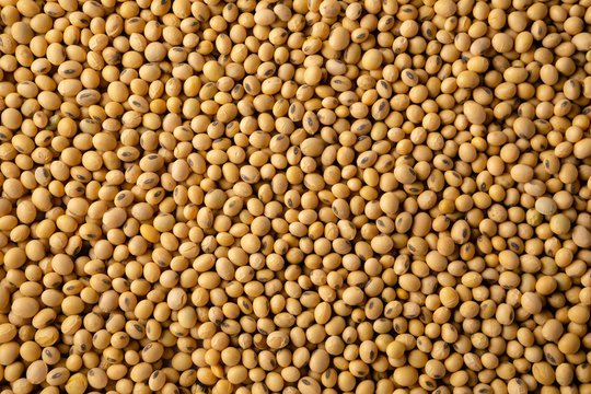 Raw soybeans background