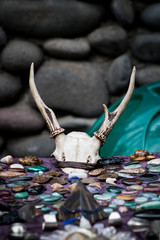 Crafts made with bones