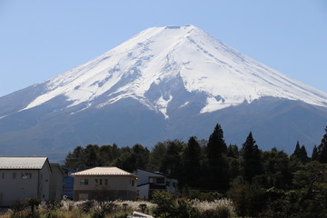 Monte  Fuji