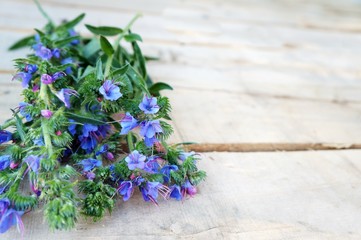 Пучок цветущей медуницы на светлой деревянной поверхности!