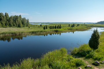 Lake in summer morning