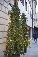 Sapin de Noël dans la rue à Paris
