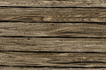 Fototapeta premium wood beams with wormholes surface