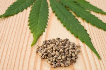Hemp seeds and a blurred cannabis leaf against a background of wood texture.