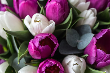 Obraz na płótnie Canvas tulips in bloom