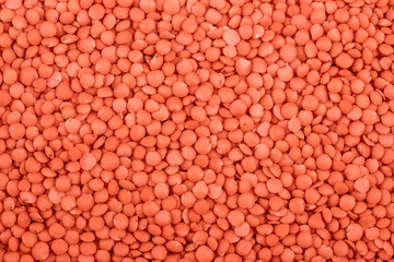 Abstract texture background living coral color. Red lentil. Trendy concept color of the year.