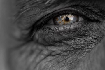 ojo