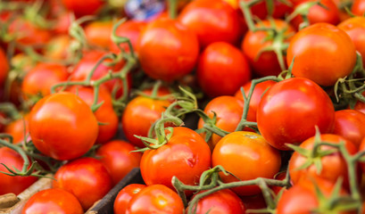 Pile of red juicy tomatoes background.