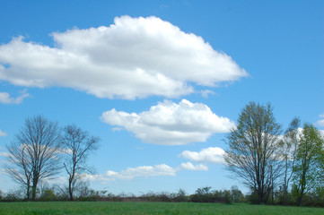 Background scene of blue sky and fluffy white clouds over meadow framed with trees