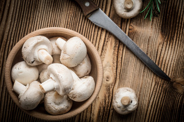Fresh white champignon mushrooms.