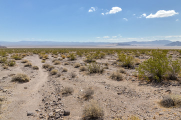 desert around Soda Dry Lake in Mojave National Preserve San Bernardino County, California